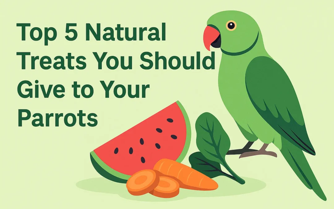 Top 5 Natural & Tasty Parrot Treats You Should Know – What to Give, What to Avoid & How to Use Them Right