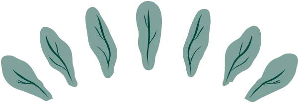 organic-farming-illustrations-07b-1